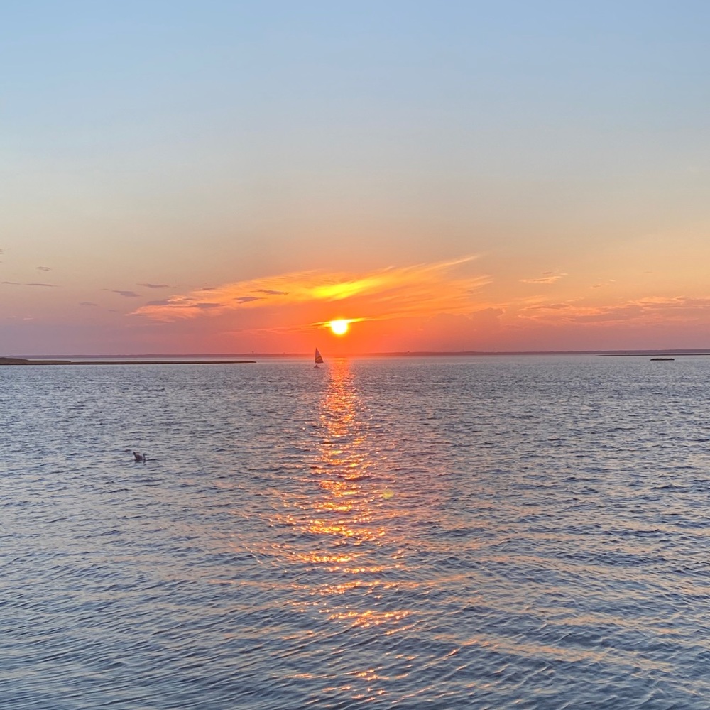 Meet your Posher, Ayla